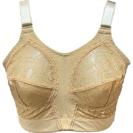 Picture of LADY'S BRA BASK