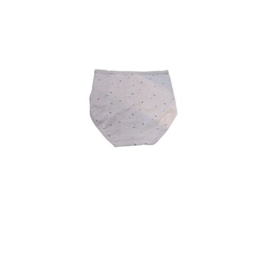 Picture of LADY'S PANTIES 285--4