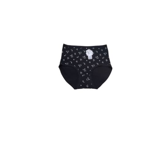 Picture of LADY'S PANTIES 285--4