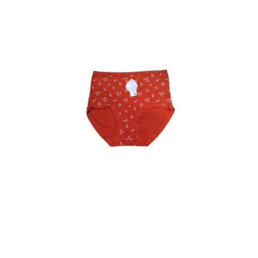 Picture of LADY'S PANTIES 285--4