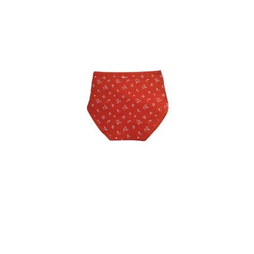 Picture of LADY'S PANTIES 285--4