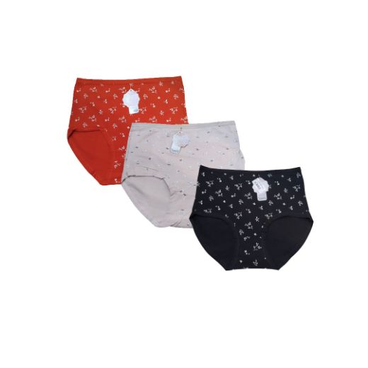 Picture of LADY'S PANTIES 285--4