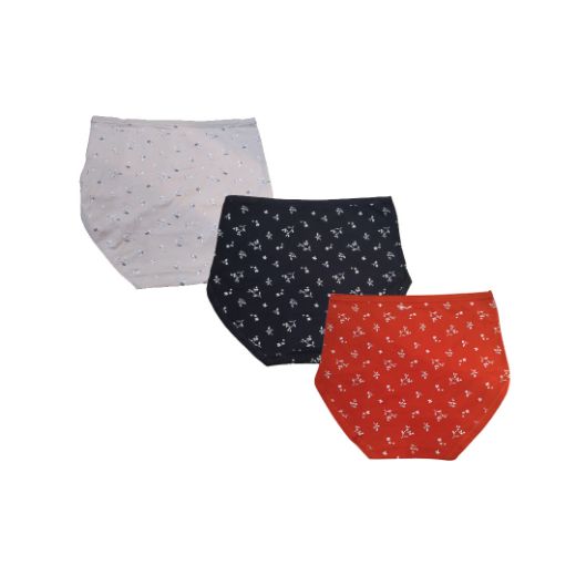 Picture of LADY'S PANTIES 285--4