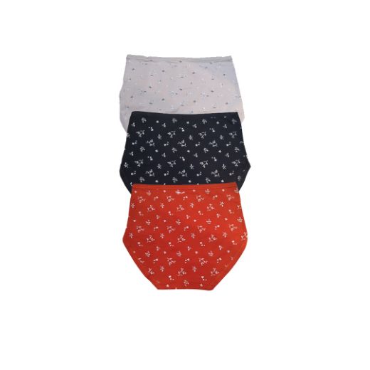 Picture of LADY'S PANTIES 285--4