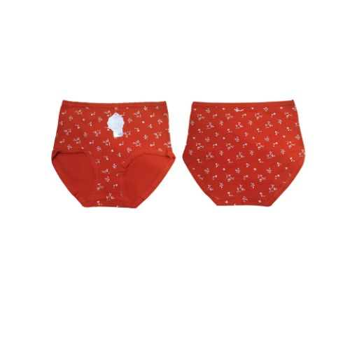 Picture of LADY'S PANTIES 285--4