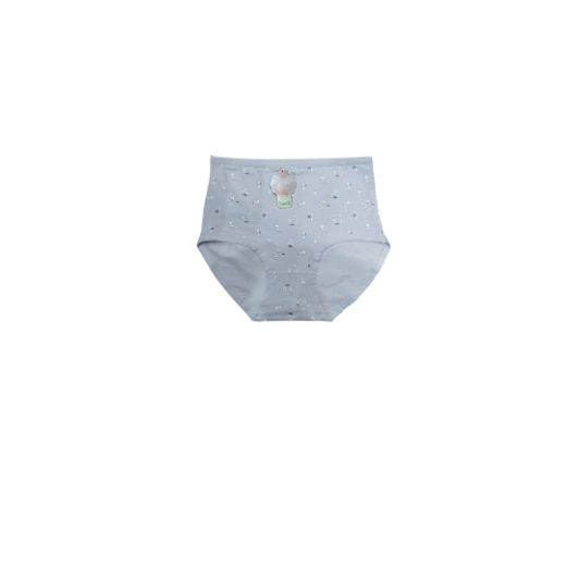 Picture of LADY'S PANTIES 285--4