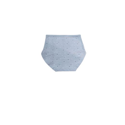 Picture of LADY'S PANTIES 285--4