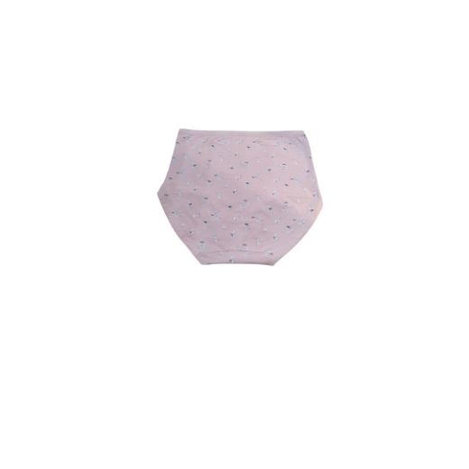 Picture of LADY'S PANTIES 285--4