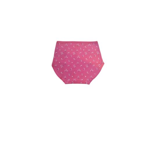 Picture of LADY'S PANTIES 285--4