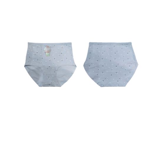 Picture of LADY'S PANTIES 285--4