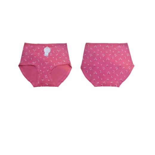 Picture of LADY'S PANTIES 285--4