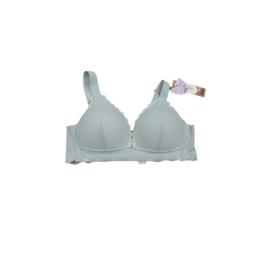 Picture of LADY'S BRA 8345-8351