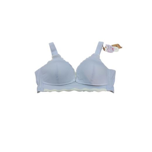 Picture of LADY'S BRA 8345-8351
