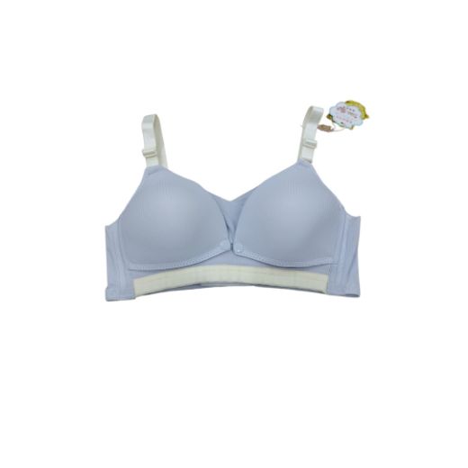 Picture of LADY'S BRA 8345-8351