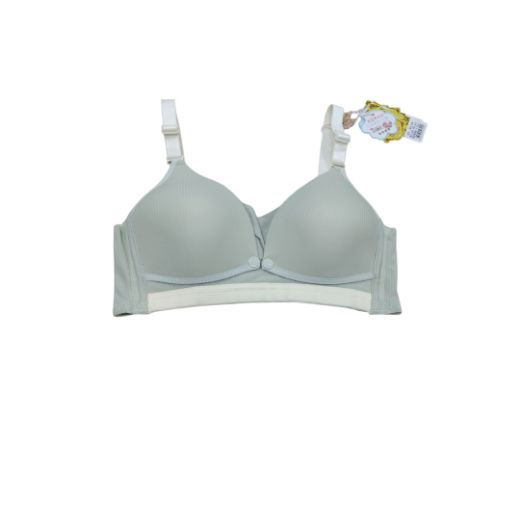 Picture of LADY'S BRA 8345-8351