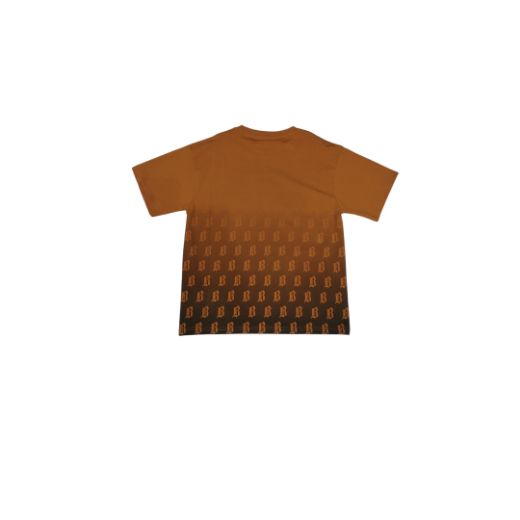 Picture of BOY'S T-SHIRT 87015