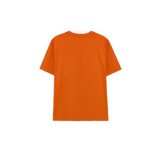 Picture of MEN'S T-SHIRT 6248