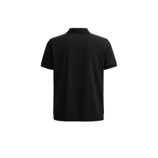 Picture of MEN'S POLO SHIRT 66013